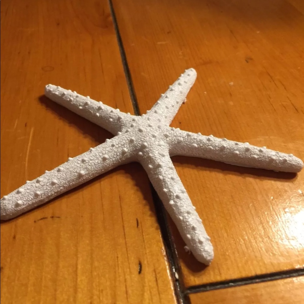 Starfish decorate your gifts, perfect centerpiece